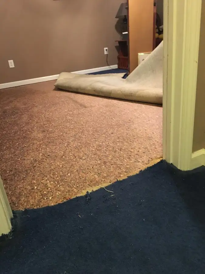Carpet pad removal revealing water damage during Drying & Dehumidification in Elizabethtown