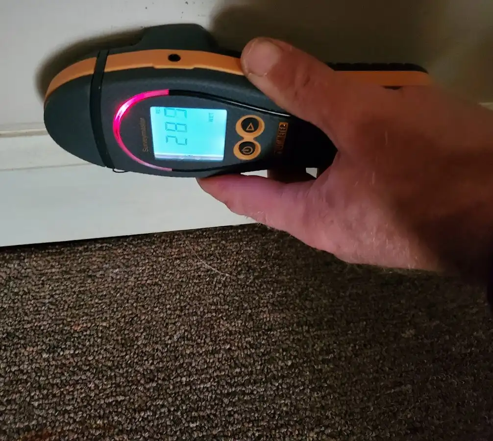 Moisture detection at baseboard during Sewage Cleanup & Sanitation in Elizabethtown